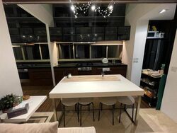 The Shelford (D11), Condominium #566298861